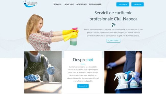 Curățenie Cluj-Napoca
