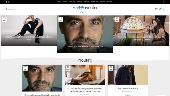 Stilmasculin